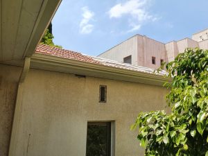 20200716_122343 (Medium)